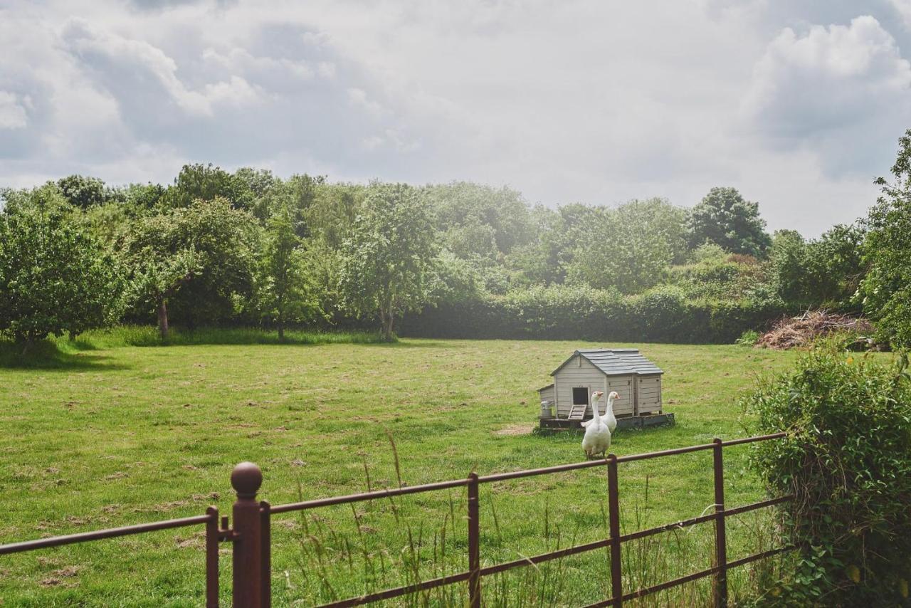 Apple Tree Cottage Beckford Exteriör bild